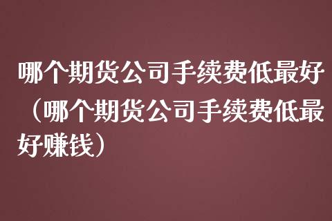 哪个期货公司手续费低最好（哪个期货公司手续费低最好赚钱）_https://www.xmqjcw.com_期货行情_第1张