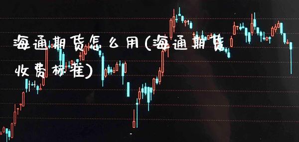 海通期货怎么用(海通期货收费标准)_https://www.xmqjcw.com_期货百科_第1张