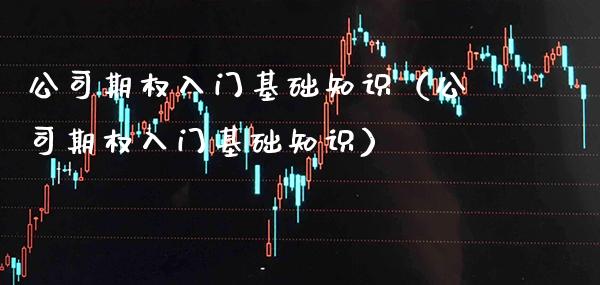 公司期权入门基础知识（公司期权入门基础知识）_https://www.xmqjcw.com_期货投资_第1张