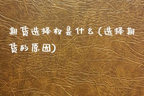 期货选择权是什么(选择期货的原因)_https://www.xmqjcw.com_期货百科_第1张