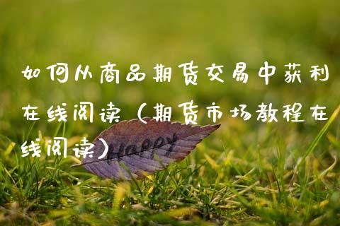 如何从商品期货交易中获利在线阅读（期货市场教程在线阅读）_https://www.xmqjcw.com_期货投资_第1张