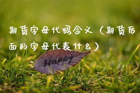 期货字母代码含义（期货后面的字母代表什么）_https://www.xmqjcw.com_期货投资_第1张