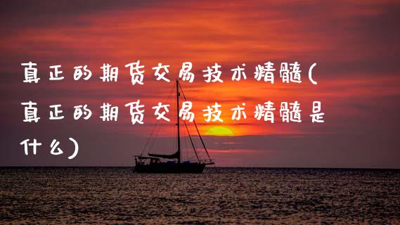 真正的期货交易技术精髓(真正的期货交易技术精髓是什么)_https://www.xmqjcw.com_期货行情_第1张