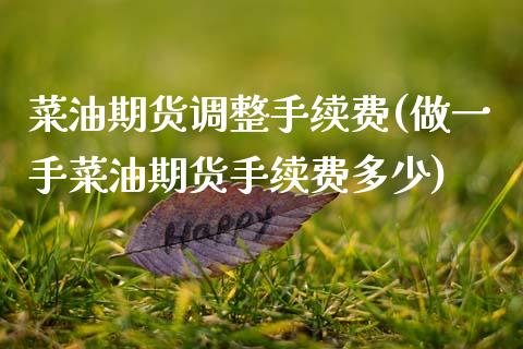 菜油期货调整手续费(做一手菜油期货手续费多少)_https://www.xmqjcw.com_期货百科_第1张