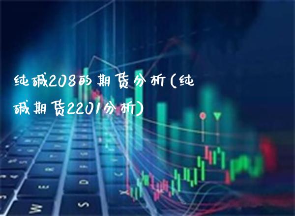纯碱208的期货分析(纯碱期货2201分析)_https://www.xmqjcw.com_基金理财_第1张