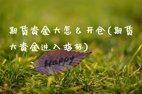 期货资金大怎么开仓(期货大资金进入指标)_https://www.xmqjcw.com_期货百科_第1张