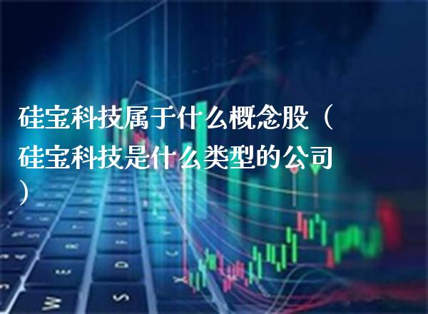 硅宝科技属于什么概念股（硅宝科技是什么类型的公司）_https://www.xmqjcw.com_股票投资_第1张