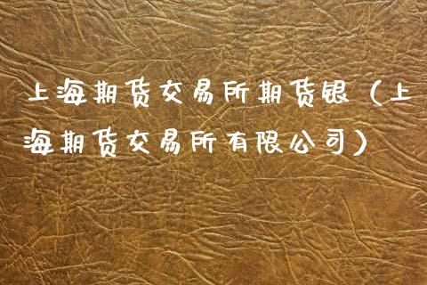 上海期货交易所期货银（上海期货交易所有限公司）_https://www.xmqjcw.com_期货投资_第1张