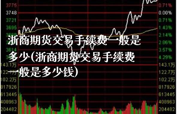 浙商期货交易手续费一般是多少(浙商期货交易手续费一般是多少钱)_https://www.xmqjcw.com_期货投资_第1张