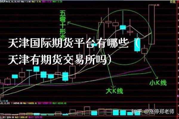 天津国际期货平台有哪些（天津有期货交易所吗）_https://www.xmqjcw.com_期货直播室_第1张