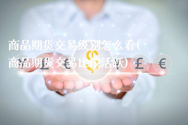 商品期货交易级别怎么看(商品期货交易比较活跃)_https://www.xmqjcw.com_期货百科_第1张