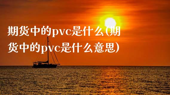期货中的pvc是什么(期货中的pvc是什么意思)_https://www.xmqjcw.com_期货投资_第1张