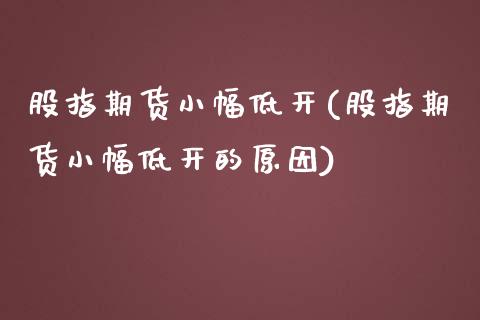 股指期货小幅低开(股指期货小幅低开的原因)_https://www.xmqjcw.com_期货直播室_第1张