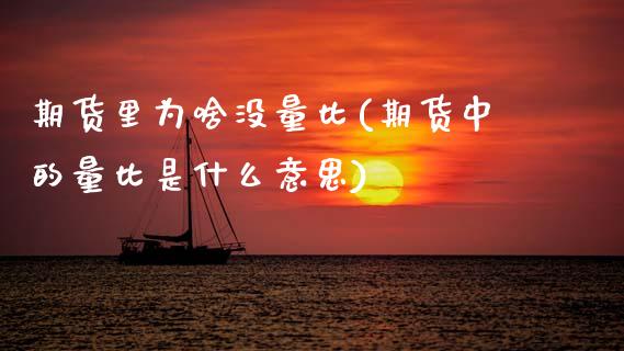 期货里为啥没量比(期货中的量比是什么意思)_https://www.xmqjcw.com_期货百科_第1张