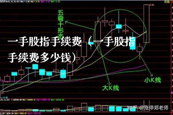 一手股指手续费（一手股指手续费多少钱）_https://www.xmqjcw.com_期货直播室_第1张