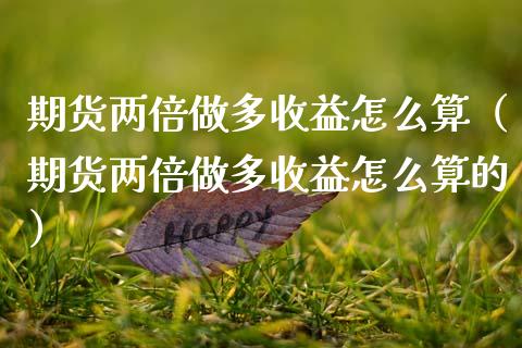 期货两倍做多收益怎么算（期货两倍做多收益怎么算的）_https://www.xmqjcw.com_期货行情_第1张