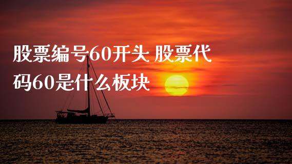 股票编号60开头 股票代码60是什么板块_https://www.xmqjcw.com_股票投资_第1张