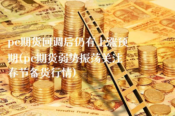 pe期货回调后仍有上涨预期(pe期货弱势振荡关注春节备货行情)_https://www.xmqjcw.com_期货行情_第1张