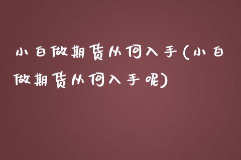 小白做期货从何入手(小白做期货从何入手呢)_https://www.xmqjcw.com_期货直播室_第1张