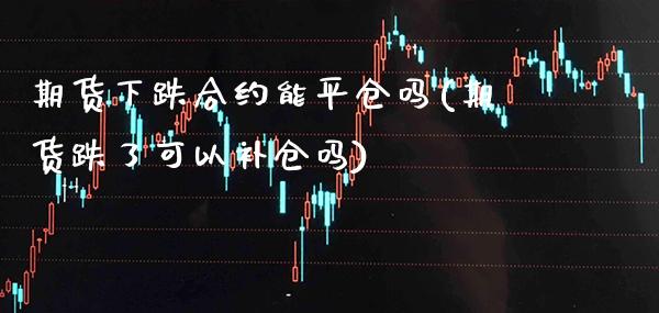 期货下跌合约能平仓吗(期货跌了可以补仓吗)_https://www.xmqjcw.com_期货百科_第1张