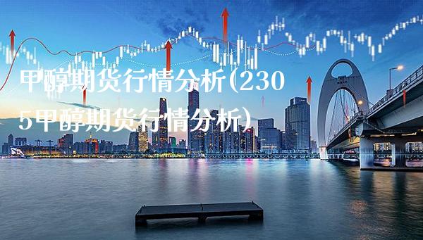 甲醇期货行情分析(2305甲醇期货行情分析)_https://www.xmqjcw.com_期货投资_第1张