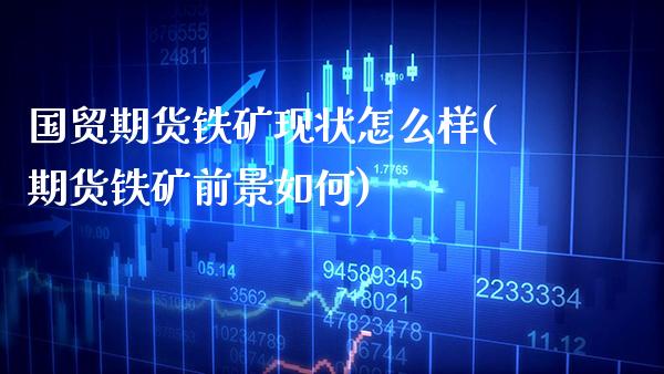 国贸期货铁矿现状怎么样(期货铁矿前景如何)_https://www.xmqjcw.com_期货百科_第1张