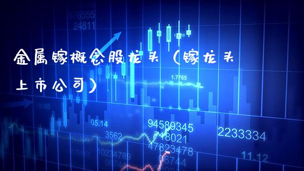 金属镓概念股龙头（镓龙头上市公司）_https://www.xmqjcw.com_股票投资_第1张
