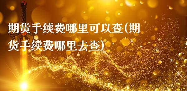 期货手续费哪里可以查(期货手续费哪里去查)_https://www.xmqjcw.com_基金理财_第1张
