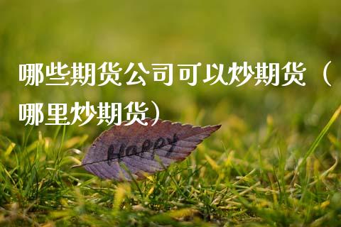 哪些期货公司可以炒期货（哪里炒期货）_https://www.xmqjcw.com_期货直播室_第1张
