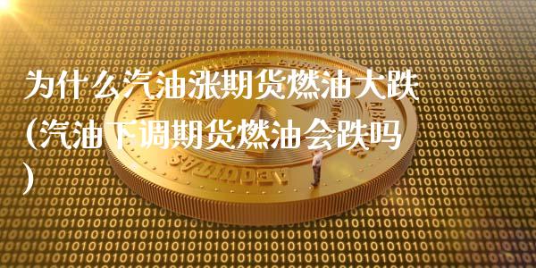 为什么汽油涨期货燃油大跌(汽油下调期货燃油会跌吗)_https://www.xmqjcw.com_期货百科_第1张