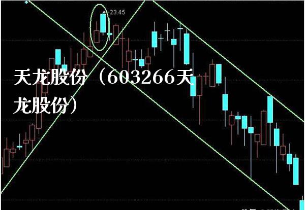 天龙股份（603266天龙股份）_https://www.xmqjcw.com_期货直播室_第1张