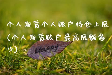 个人期货个人账户持仓上限(个人期货账户最高限额多少)_https://www.xmqjcw.com_期货百科_第1张
