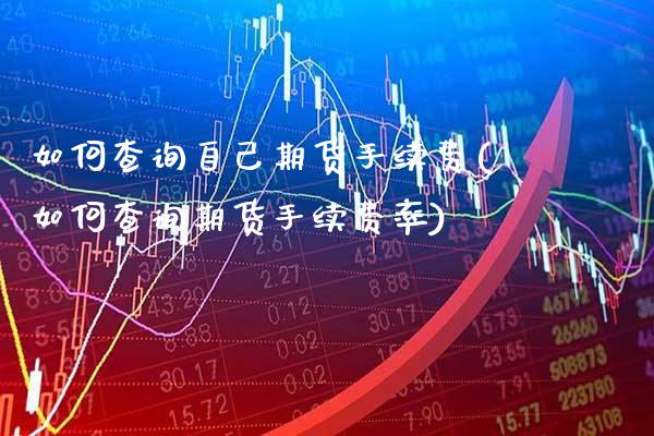 如何查询自己期货手续费(如何查询期货手续费率)_https://www.xmqjcw.com_期货直播室_第1张