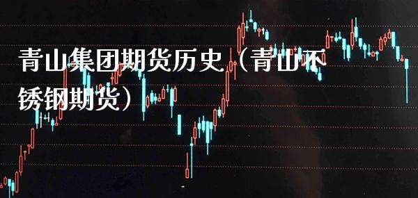 青山集团期货历史（青山不锈钢期货）_https://www.xmqjcw.com_期货直播室_第1张
