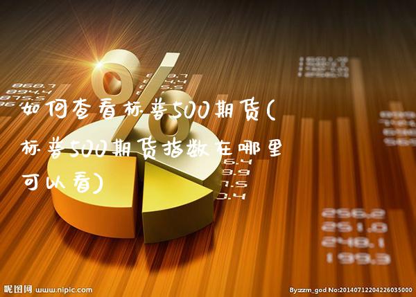 如何查看标普500期货(标普500期货指数在哪里可以看)_https://www.xmqjcw.com_期货直播室_第1张