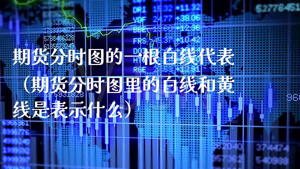 期货分时图的一根白线代表（期货分时图里的白线和黄线是表示什么）_https://www.xmqjcw.com_期货直播室_第1张
