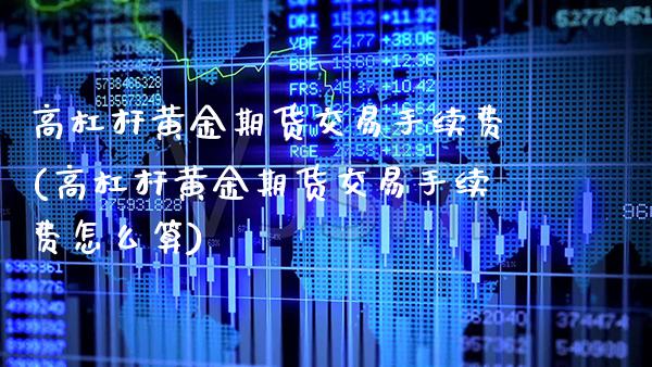 高杠杆黄金期货交易手续费(高杠杆黄金期货交易手续费怎么算)_https://www.xmqjcw.com_期货投资_第1张