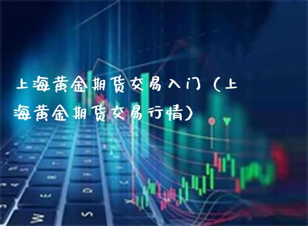 上海黄金期货交易入门（上海黄金期货交易行情）_https://www.xmqjcw.com_期货投资_第1张