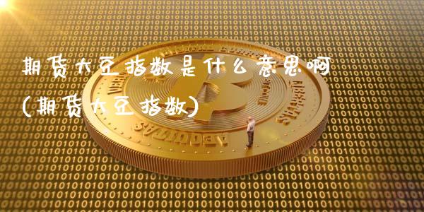 期货大豆指数是什么意思啊(期货大豆指数)_https://www.xmqjcw.com_期货开户_第1张