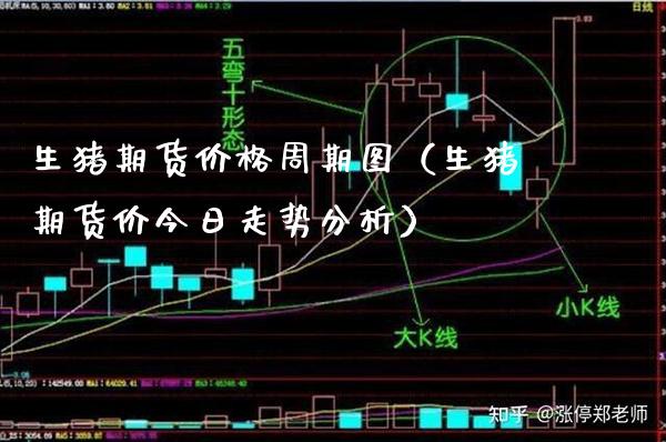 生猪期货价格周期图（生猪期货价今日走势分析）_https://www.xmqjcw.com_期货行情_第1张