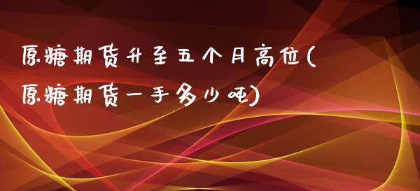 原糖期货升至五个月高位(原糖期货一手多少吨)_https://www.xmqjcw.com_期货百科_第1张