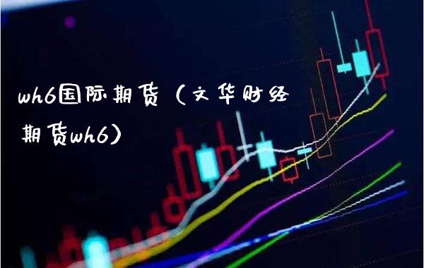 wh6国际期货（文华财经期货wh6）_https://www.xmqjcw.com_期货投资_第1张
