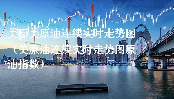 美原美原油连续实时走势图（美原油连续实时走势图原油指数）_https://www.xmqjcw.com_期货直播室_第1张
