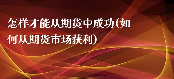 怎样才能从期货中成功(如何从期货市场获利)_https://www.xmqjcw.com_期货百科_第1张