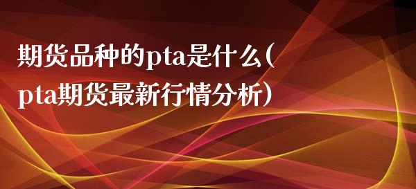 期货品种的pta是什么(pta期货最新行情分析)_https://www.xmqjcw.com_期货百科_第1张