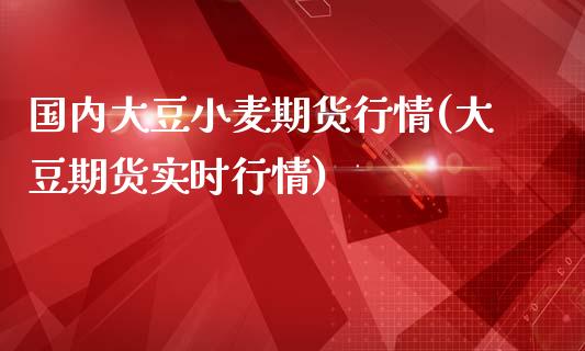 国内大豆小麦期货行情(大豆期货实时行情)_https://www.xmqjcw.com_期货百科_第1张
