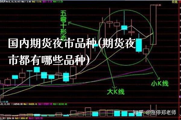 国内期货夜市品种(期货夜市都有哪些品种)_https://www.xmqjcw.com_期货投资_第1张