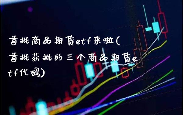 首批商品期货etf来啦(首批获批的三个商品期货etf代码)_https://www.xmqjcw.com_股票投资_第1张