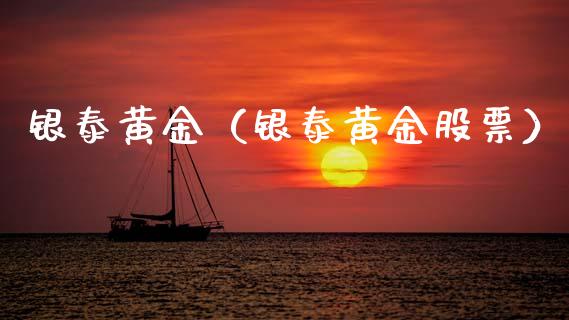 银泰黄金（银泰黄金股票）_https://www.xmqjcw.com_期货投资_第1张
