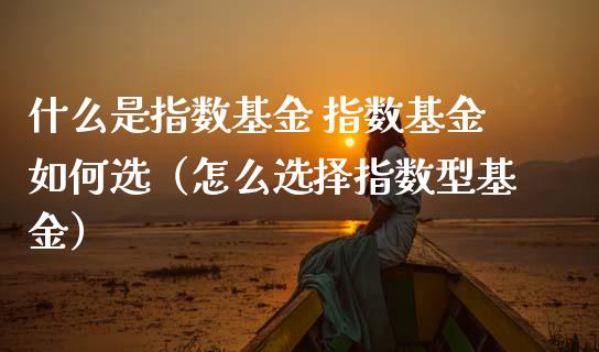 什么是指数基金 指数基金如何选（怎么选择指数型基金）_https://www.xmqjcw.com_期货投资_第1张